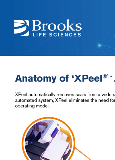 XPeel解剖