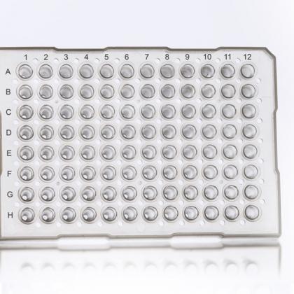 96孔半裙PCR板，直立，ABI®风格|正面