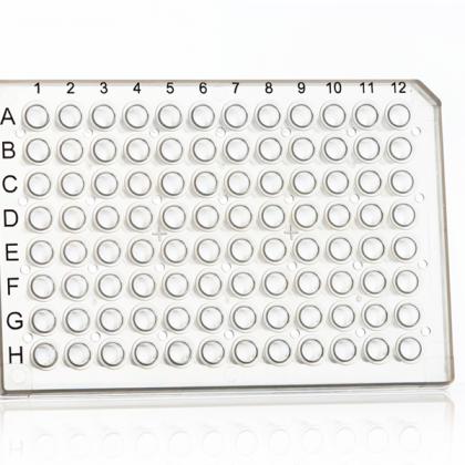 96 Well Semi-Skirted PCR Plate | Front