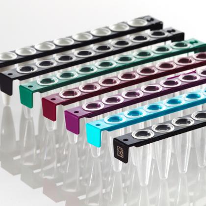 FRAMESTIP®8井PCR管条|团体