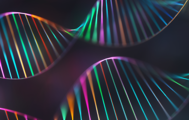 人工DNA合成的初学者指南