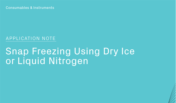 使用干冰和液氮快速冻结