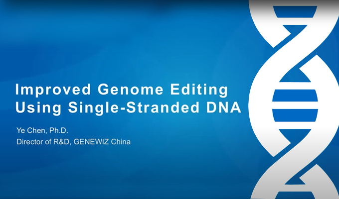 使用单链DNA改进基因组编辑